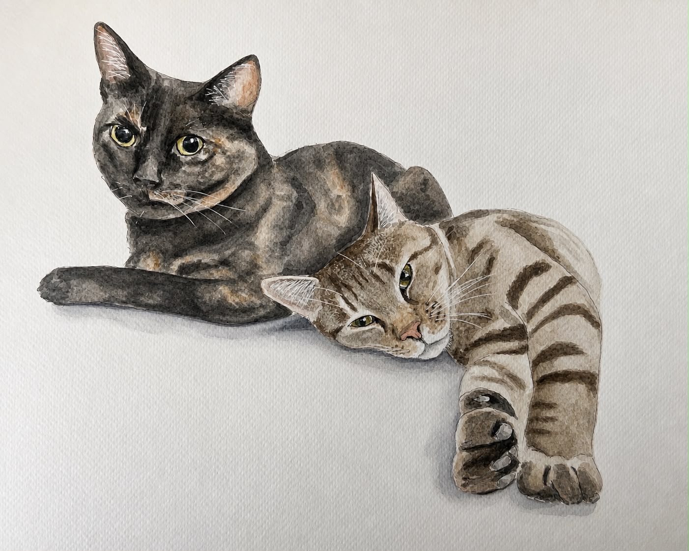 Two cats, curled up together